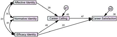 Relationship between teachers’ professional identity and career satisfaction among college teachers: role of career calling